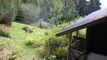 Vendu ! Splendide chalet authentique dans cadre bucolique