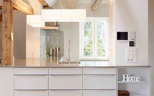 Renovated 10.5 Room City Apartment in historic Villa