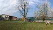 Reitanlage mit Reithalle, Aussenplatz, Weiden & Roundpen auf  18'998m2