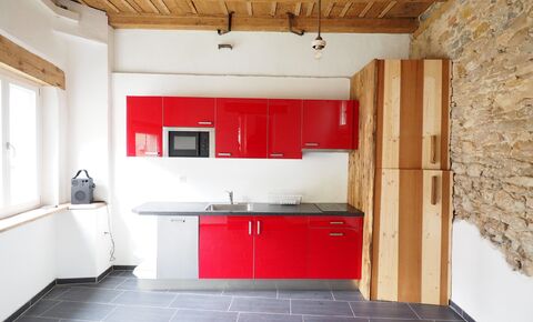 Detached renovated house in Waldenburg