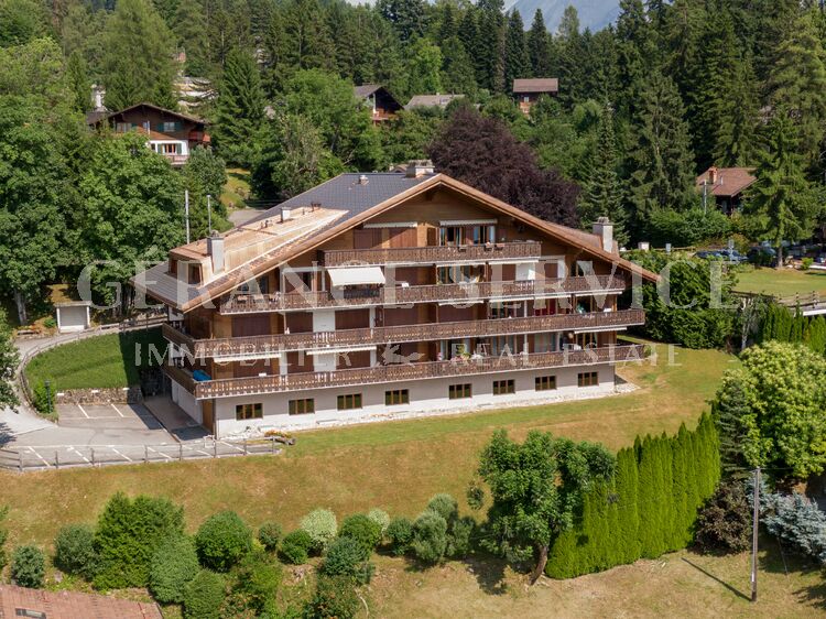 Image for Ambassadeur 6