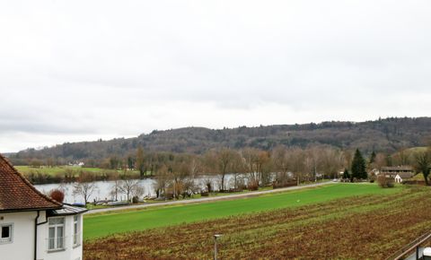 Einzigartiger Blick über den Rhein