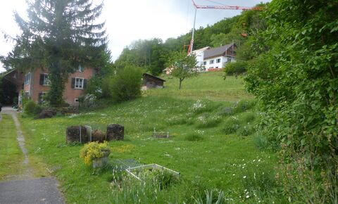 Land with utility services CH-4204 Himmelried
