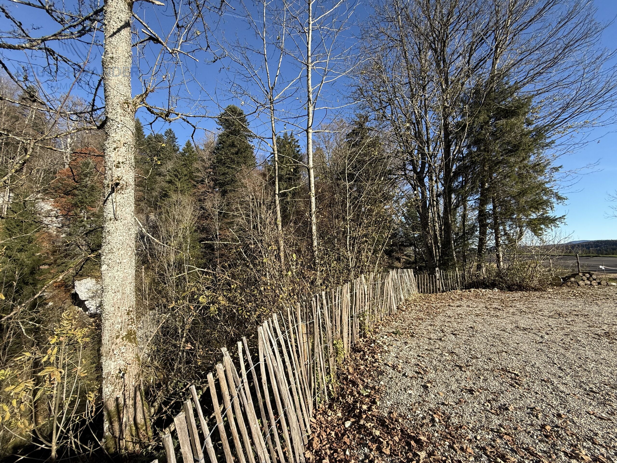forêt et places de parc