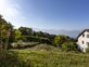 Le meilleur des deux mondes ; Rez-de-jardin avec belle vue sur le lac