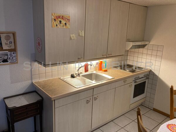 LUMINEUX APPARTEMENT DE 2½ PIECES LUMINEUX APPARTEMENT DE 2½ PIECES