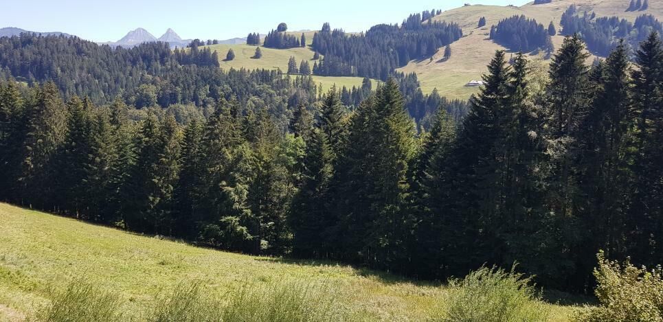 3.5 pièces au coeur du Village de Moléson