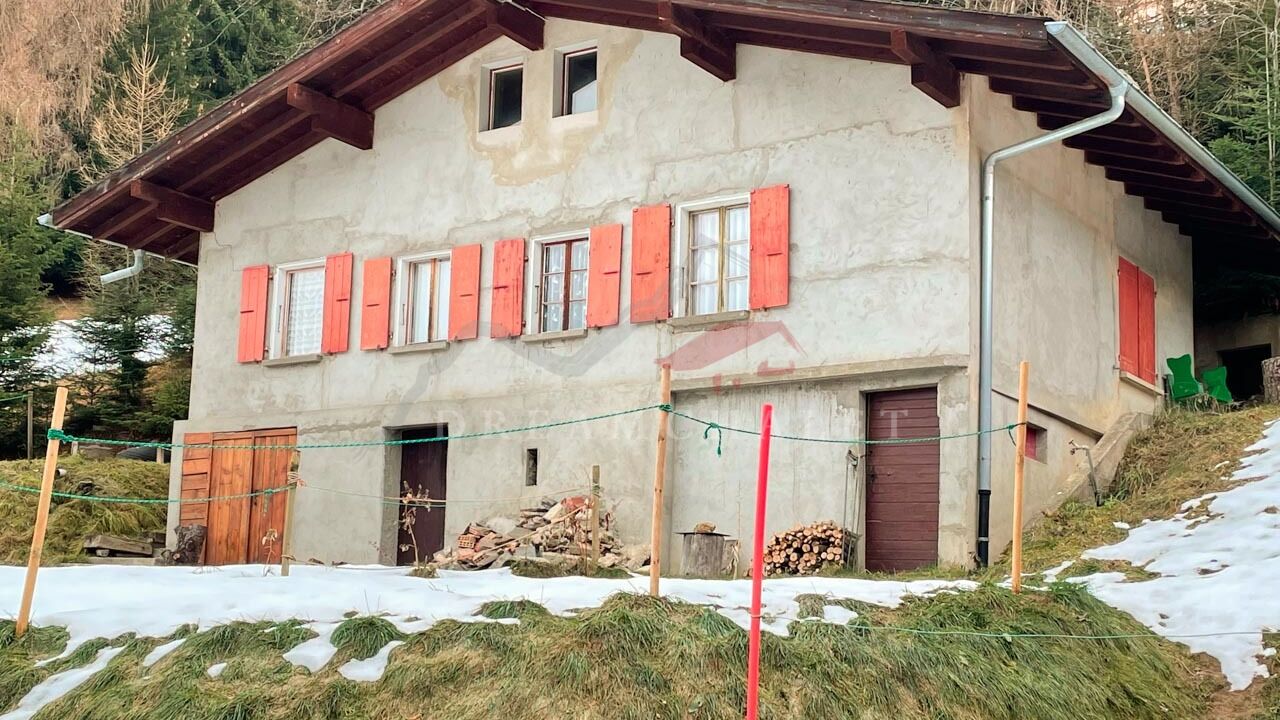 The barn