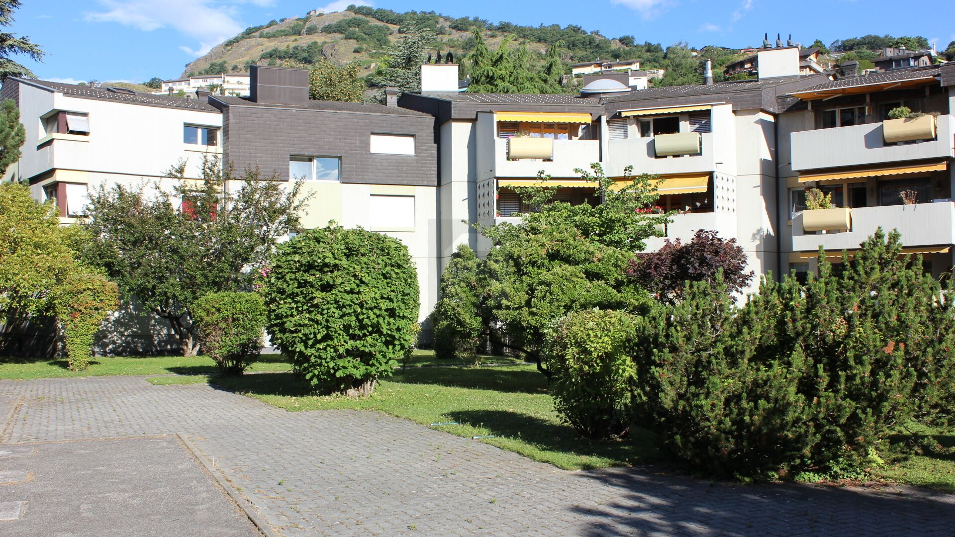 Firstview