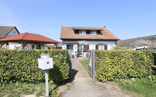Single family house CH-2914 Damvant