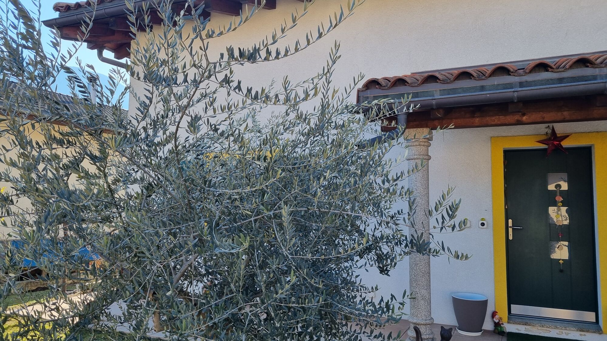 Picture 1