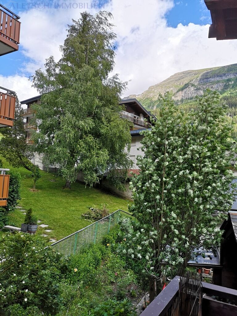 Sommer nord/ost