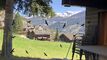 Très joli appartement complètement rénové à Grimentz - 4050