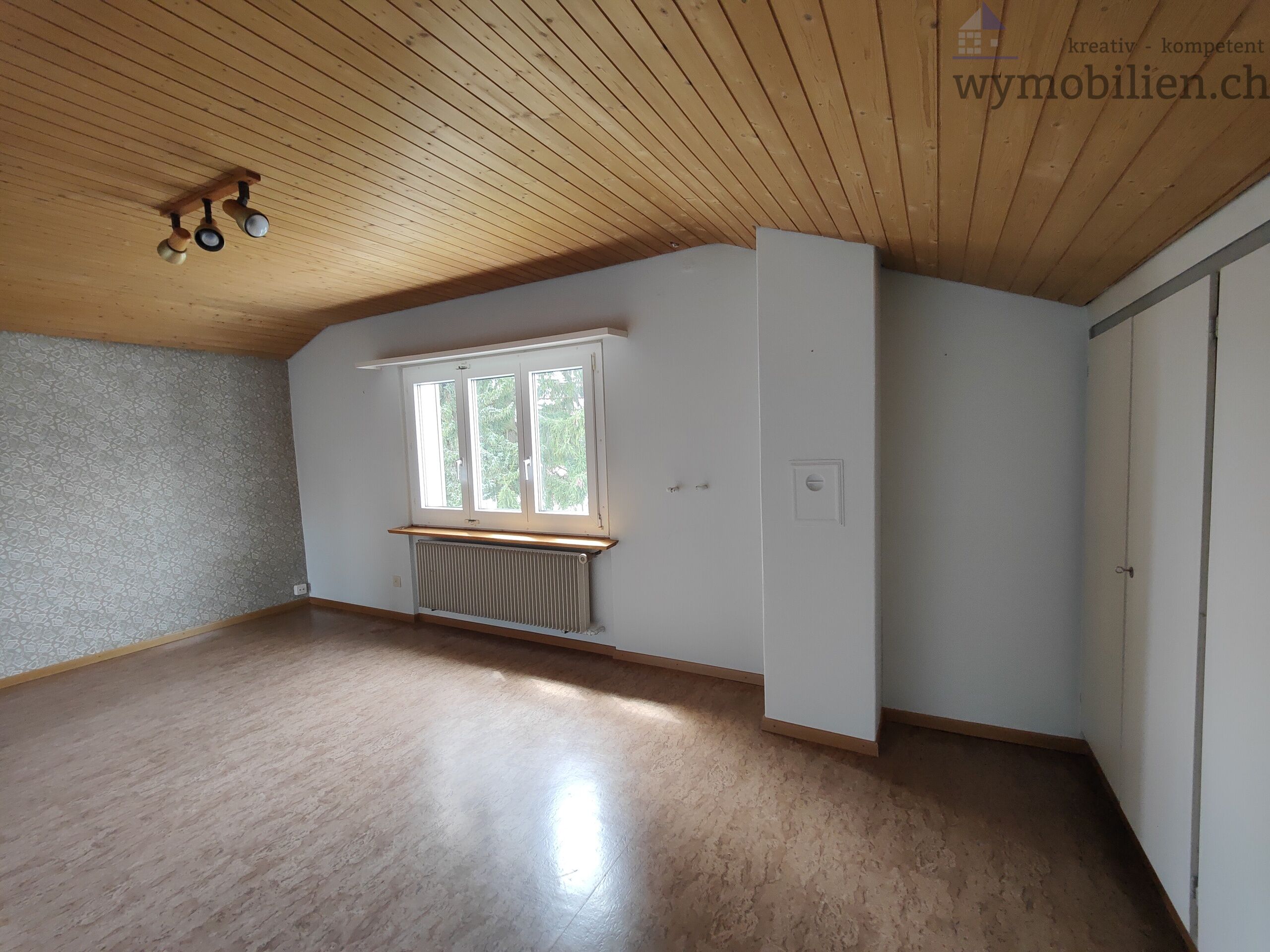 Zimmer DG 