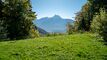 Gryon Immo propose un magnifique chalet de 8 pièces en pleine nature