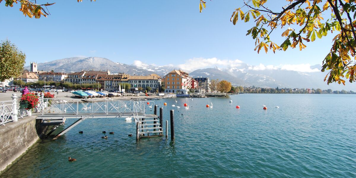 Riviera Properties Real estate agency Vevey Montreux