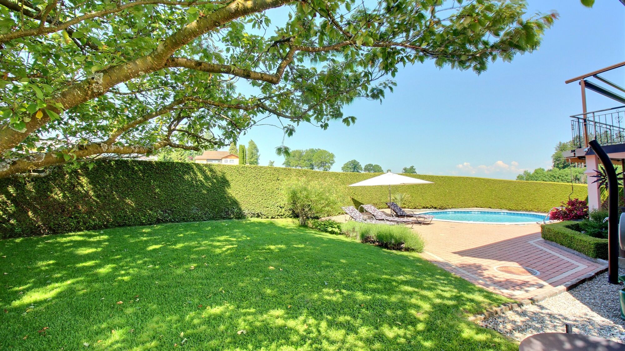 Jardin 1