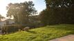 Beautiful Renovated Detached House, 5 Beds, Double Garage, Garden, Vue
