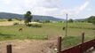 Holiday apartment CH-2127 Les Bayards, Val-de-Travers