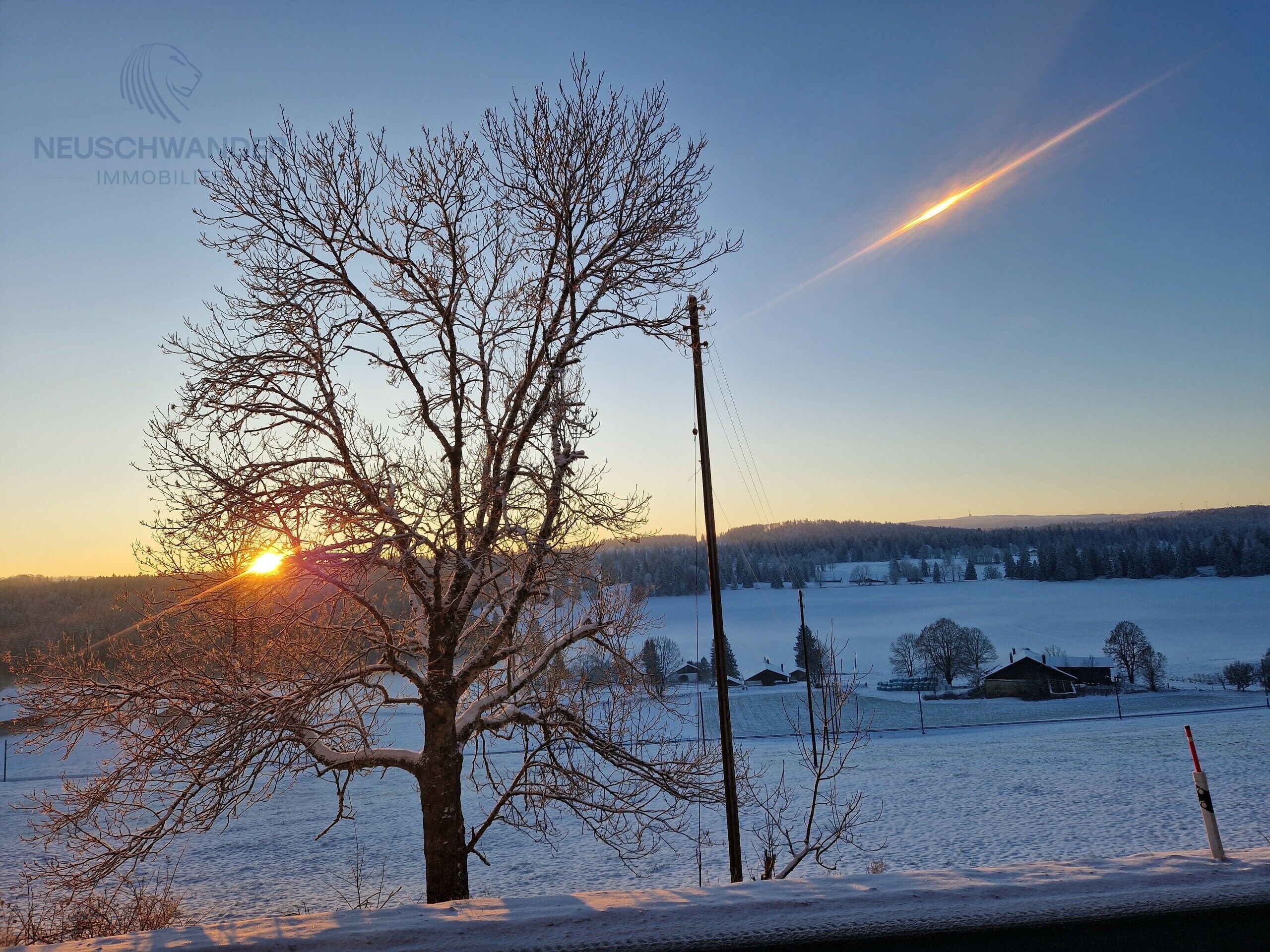 paysage hivernal