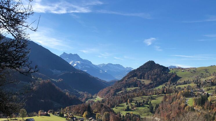 Trop tard, il est vendu ! Chalet authentique de 1740