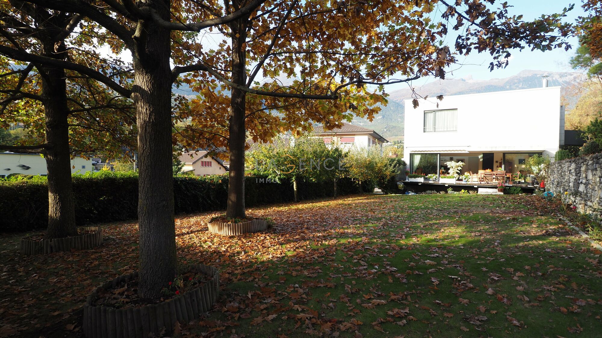 Picture 4