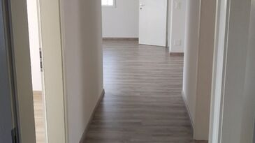 [IMG 3507]