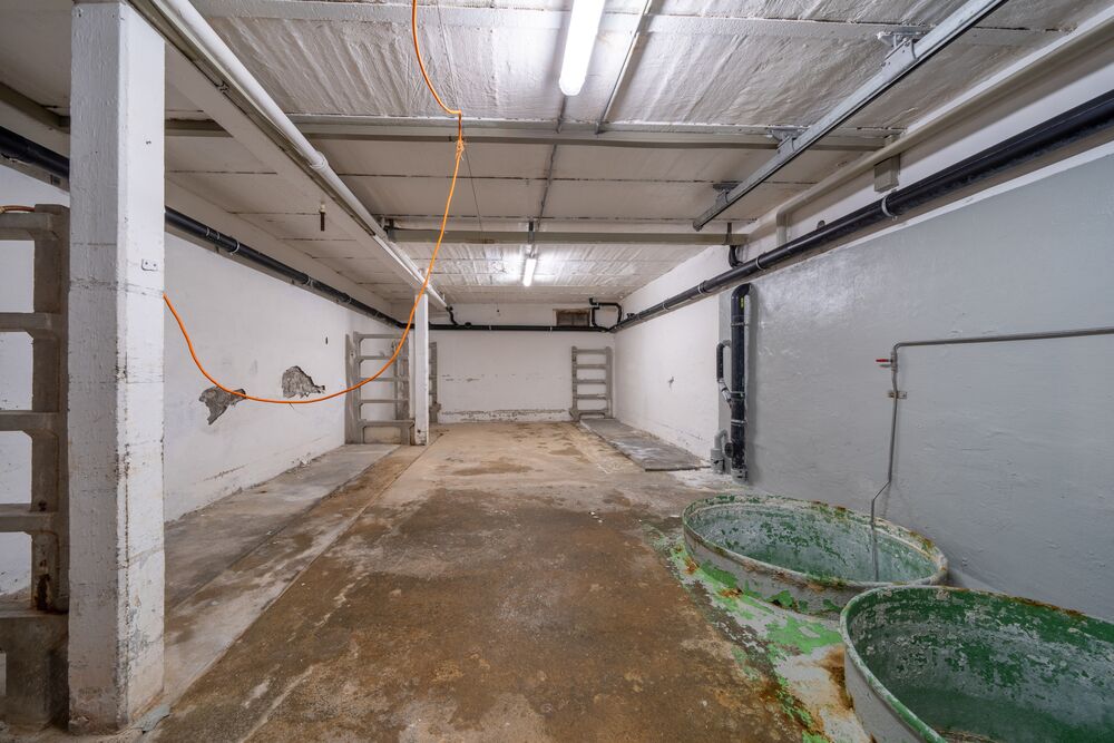 Wohnen und Arbeiten mit Potenzial