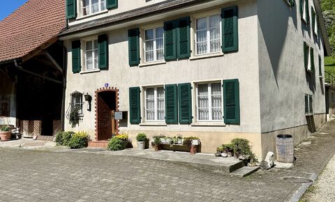 Jewel in need of renovation in the village center of Meltingen