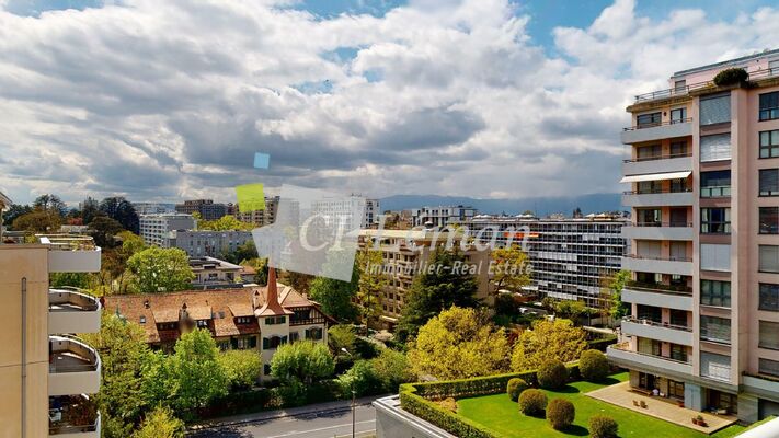 GENEVE