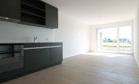 Appartamento piano terra CH-3296 Arch, Spismattweg 22