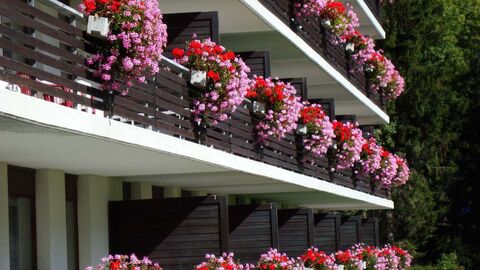 Trop tard !!! Diablerets appartement au coeur de l'Eurotel Victoria avec piscine
