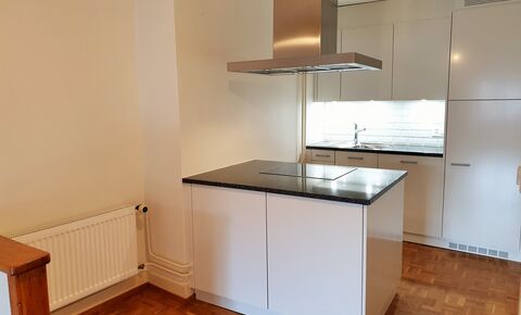 Renovated 3.5 room apartment