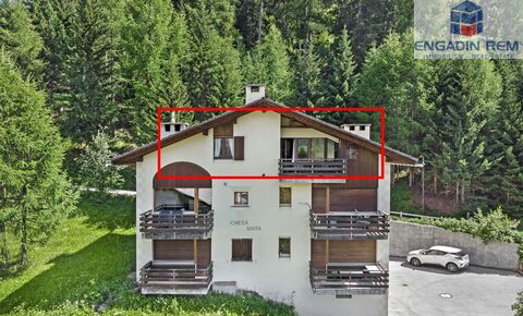 3-room top-floor apt. idyllically located at the edge of the forest