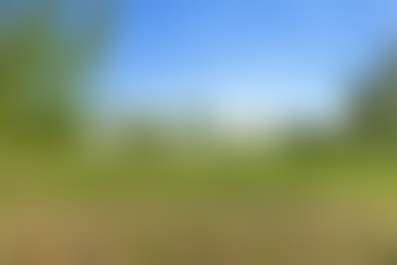 A blurred image