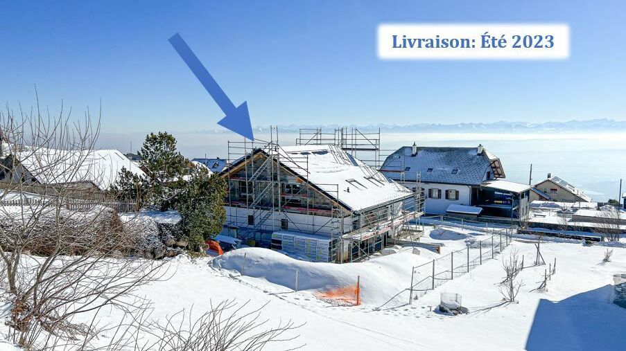Vue arrière de la maison et vue sur les Alpes