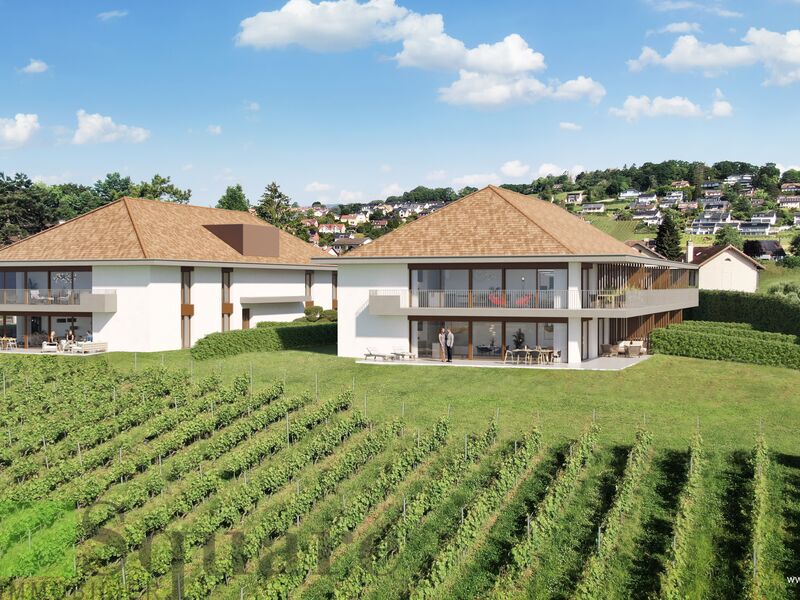 Magnifique 2,5 pièces dans une nouvelle résidence au cœur des vignes