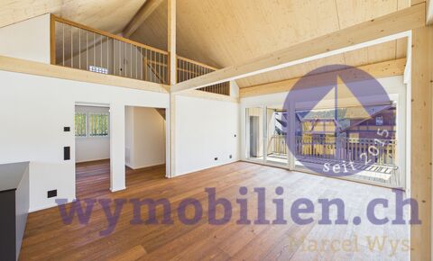 Penthouse CH-3432 Lützelflüh-Goldbach, Gotthelfstrasse 11c