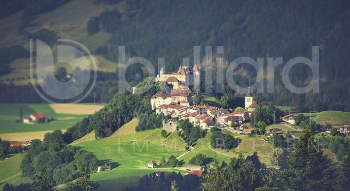 A VENDRE
Hôtel-restaurant de charme réputé au cœur de la Gruyère