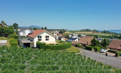 Vue lac et vignes : la villa familiale qui a tout pour plaire