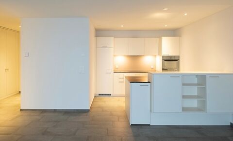 Moderne 3.5-Zimmerwohnung zum attraktiven Preis (Erstbezug)