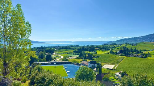 Appartement de 2.5 pièces avec vue sur le lac !