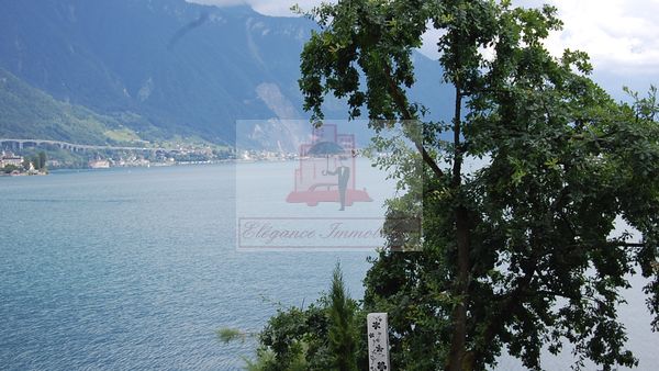 Exceptionnel appartement- loft devant le lac à Montreux