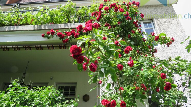 Single family house CH-4055 Basel