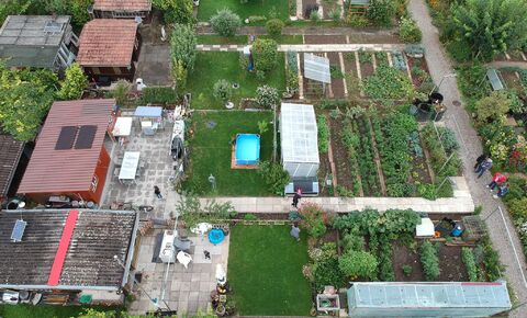 Allotment garden with renovated garden house in Birsfelden