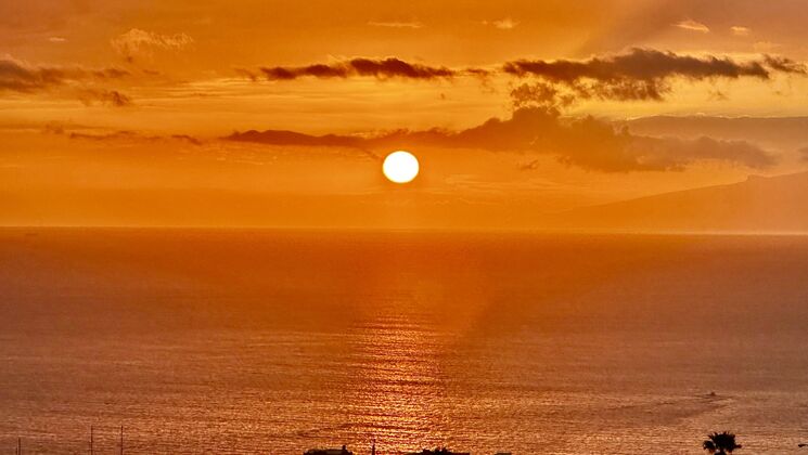Magnifique attique au sud de Tenerife, vue à 180 degrés sur l'océan Magnifique attique au sud de Tenerife, vue à 180 degrés sur l'océan