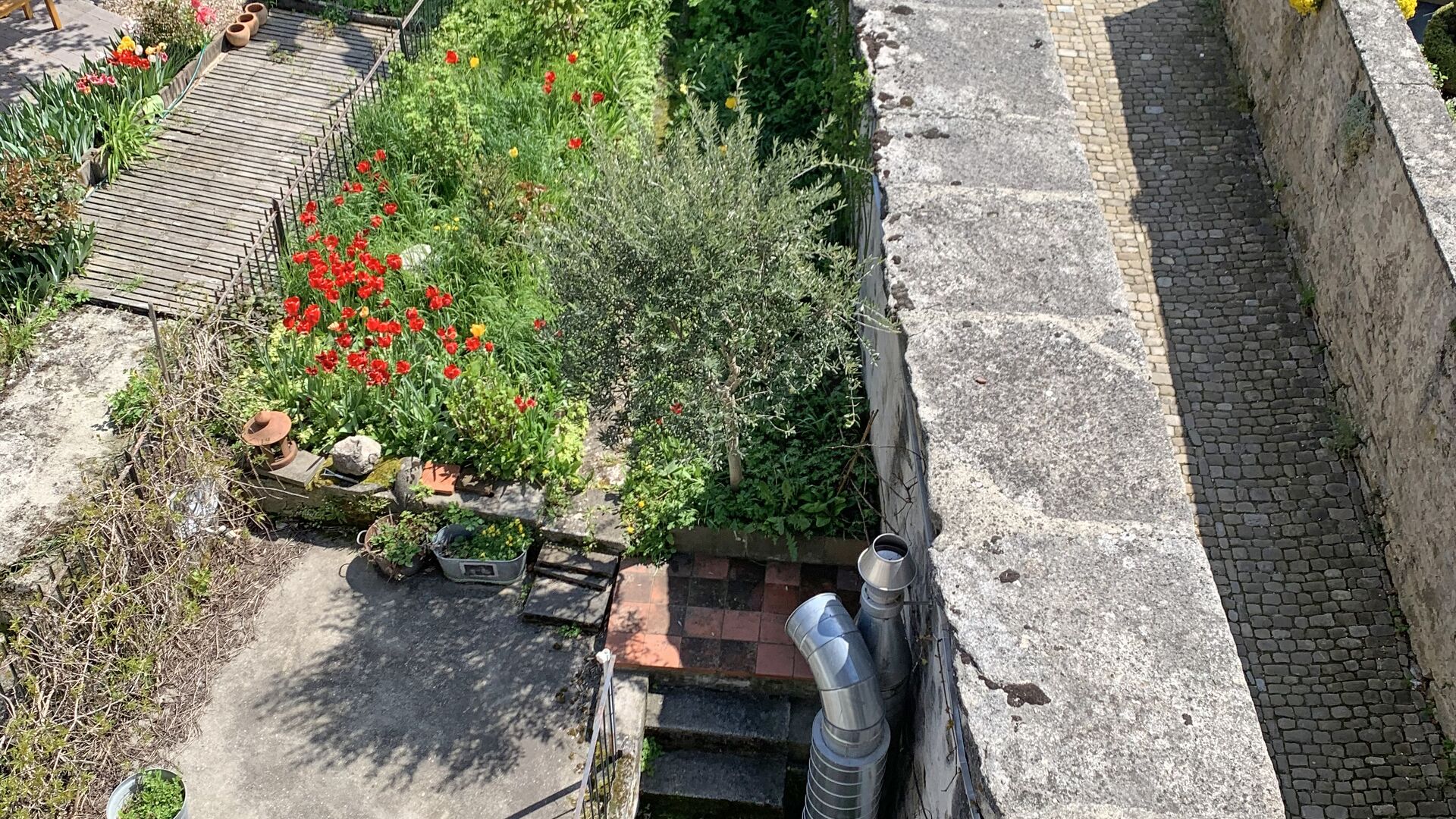 Lot 1 - Terrasse(s) et jardin