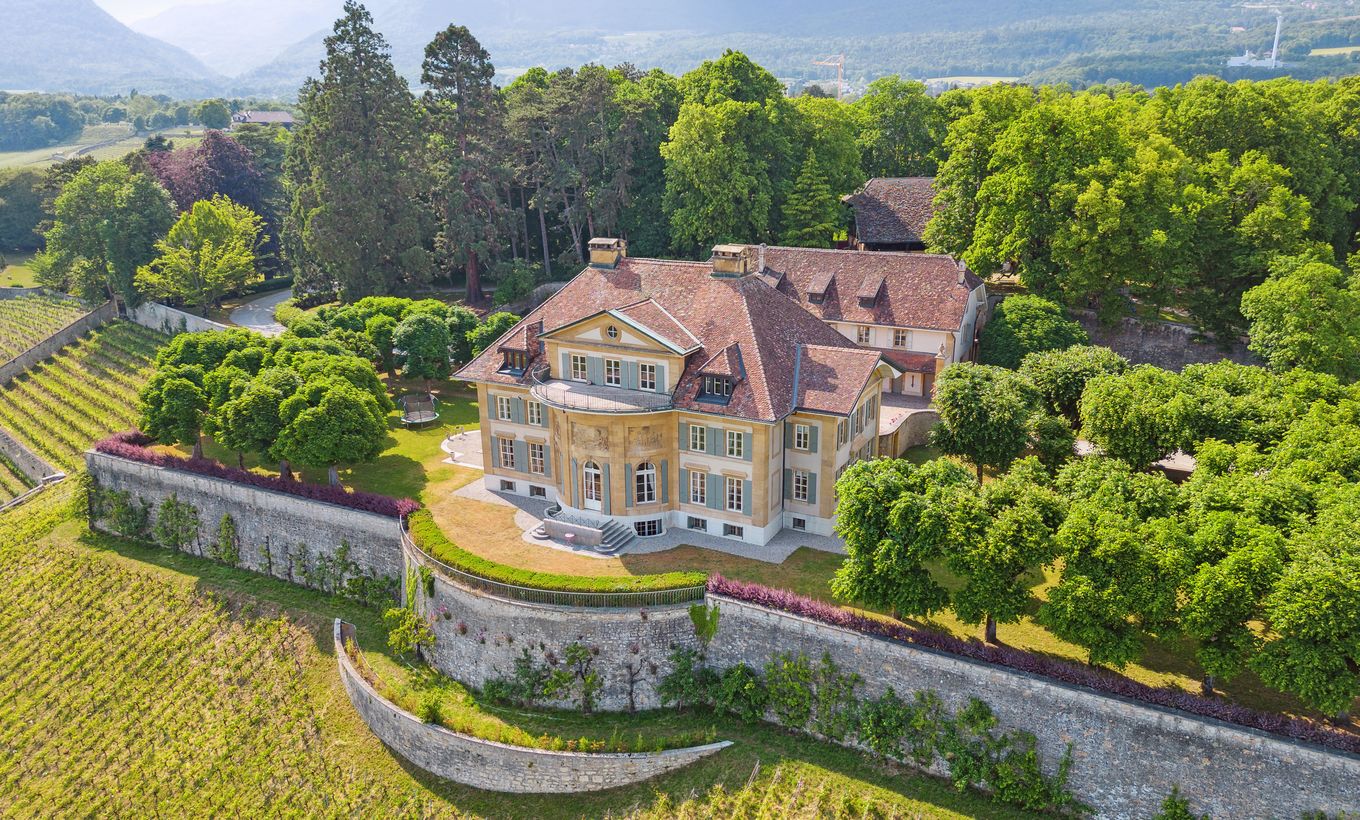 Domaine de Vaudijon, aussergewöhnliches Anwesen mit Weingut