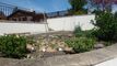 Single family house CH-1720 Corminboeuf
