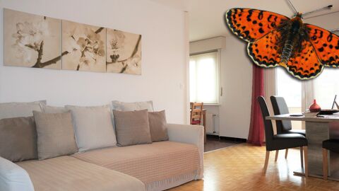 Wohnung CH-1680 Romont FR, Rue Pierre de Savoie 20